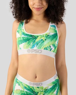 underwear factory Seeds & Stems